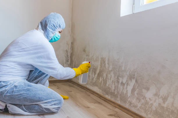 Licensed Mold Testing service in Frederick, MD - WQB Mold Removal