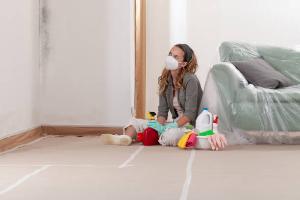 Reliable Mold Testing contractor in Frederick, MD by WQB Mold Removal