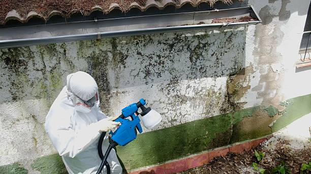 Top rated local Mold Testing specialists in Frederick, MD
